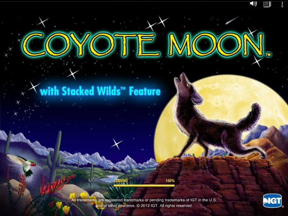 Kojote Mond